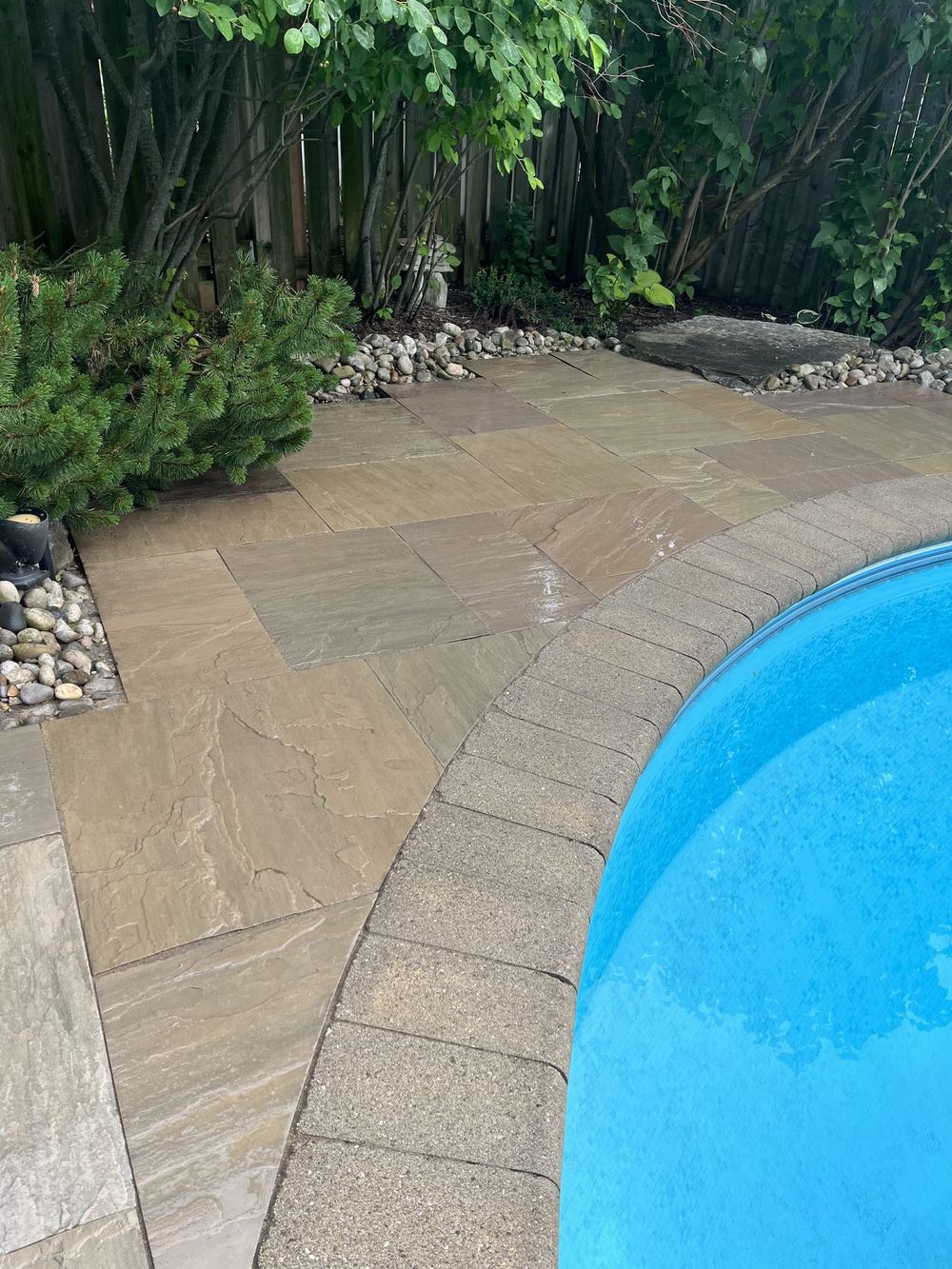Natural sandstone coping and deck curving around a blue in-ground pool, with cedars and a river-rock strip behind