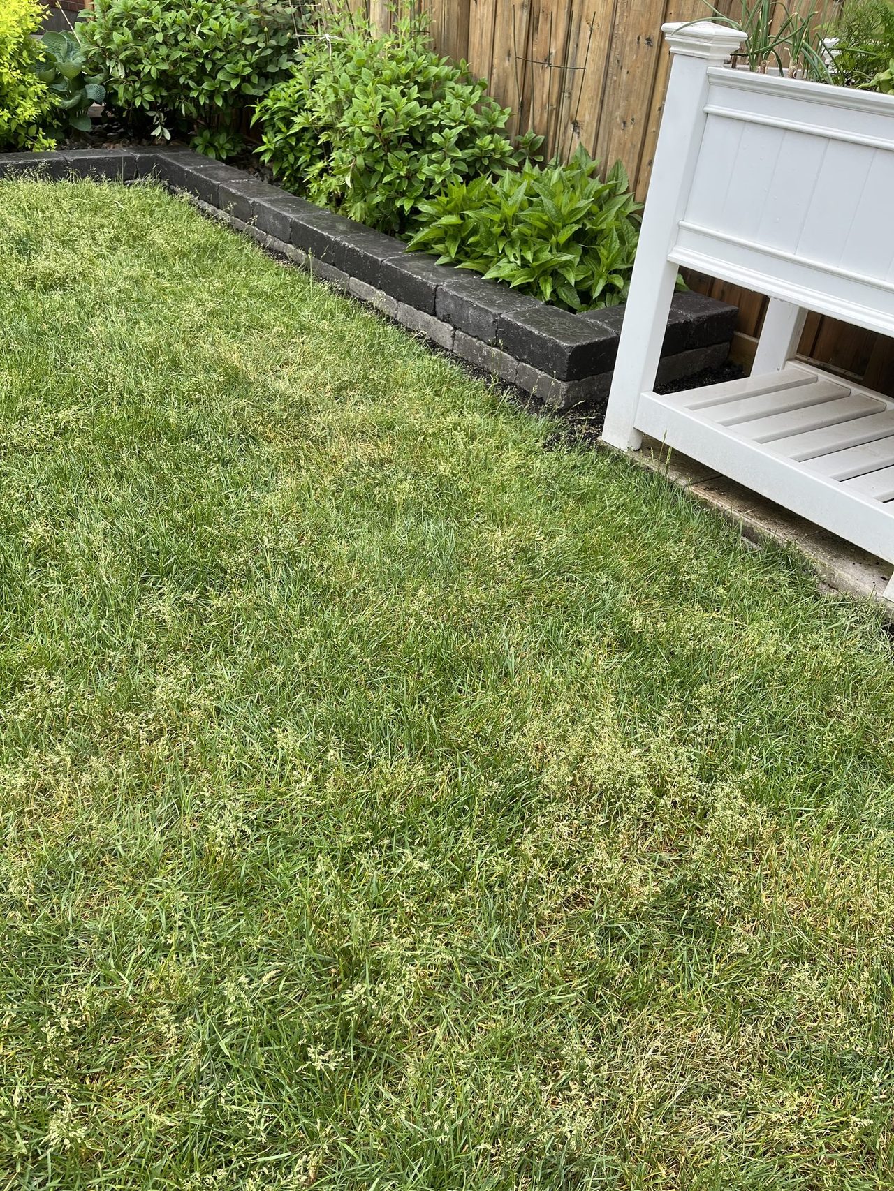 Straight run of two-course charcoal and grey block garden bed edging along a wooden fence line, planted with a dense row of perennials behind the blocks