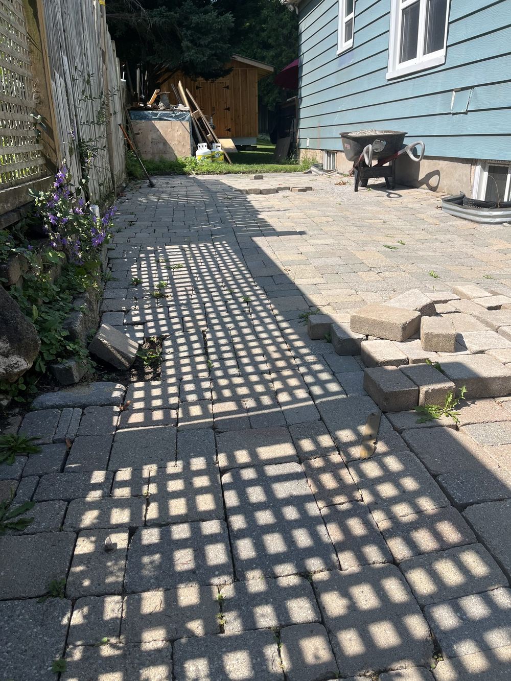 Before: the same interlock walkway from the yard end, pavers sunken and shifted along the fence line